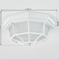Plafonnier Exterieuribacache Blanc, 1 Lumiere