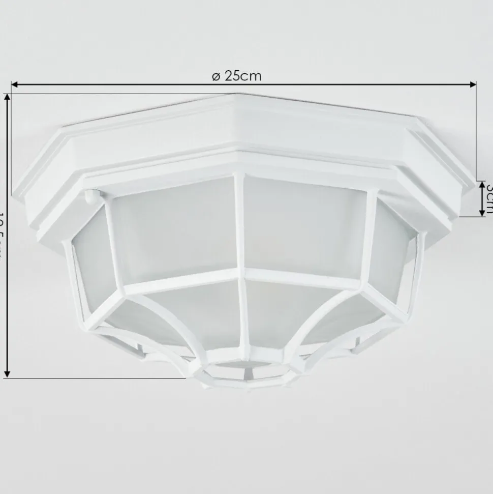 Plafonnier Exterieuribacache Blanc, 1 Lumiere