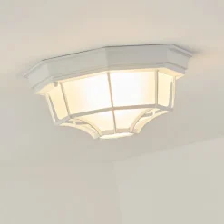 Plafonnier Exterieuribacache Blanc, 1 Lumiere