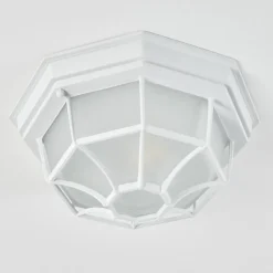 Plafonnier Exterieuribacache Blanc, 1 Lumiere