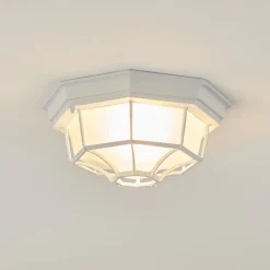 Plafonnier Exterieuribacache Blanc, 1 Lumiere
