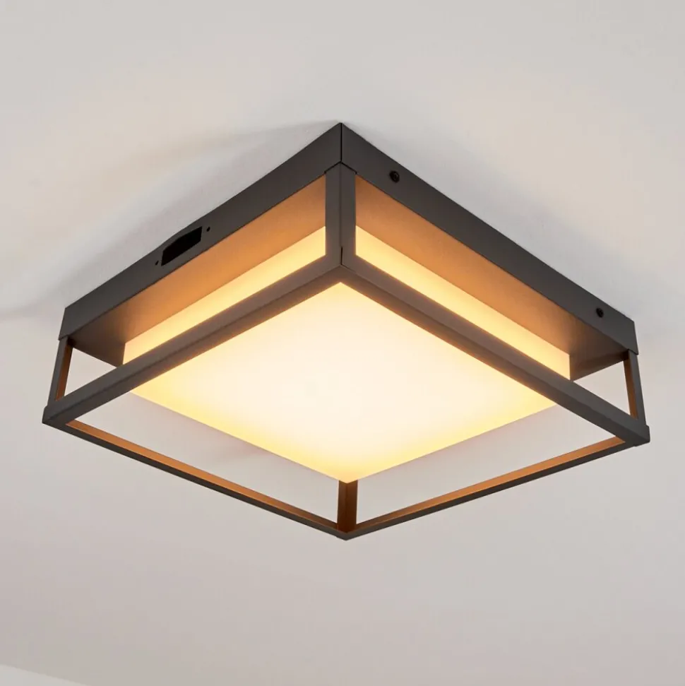 Plafonnier Exterieurnonza Led Anthracite, 1 Lumiere