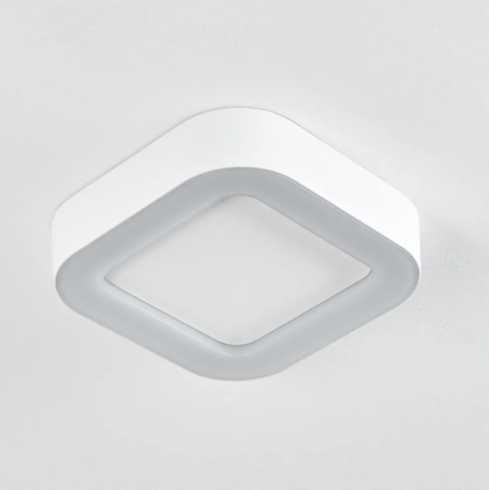 Plafonnier Exterieurpaleroo Led Blanc, 1 Lumiere