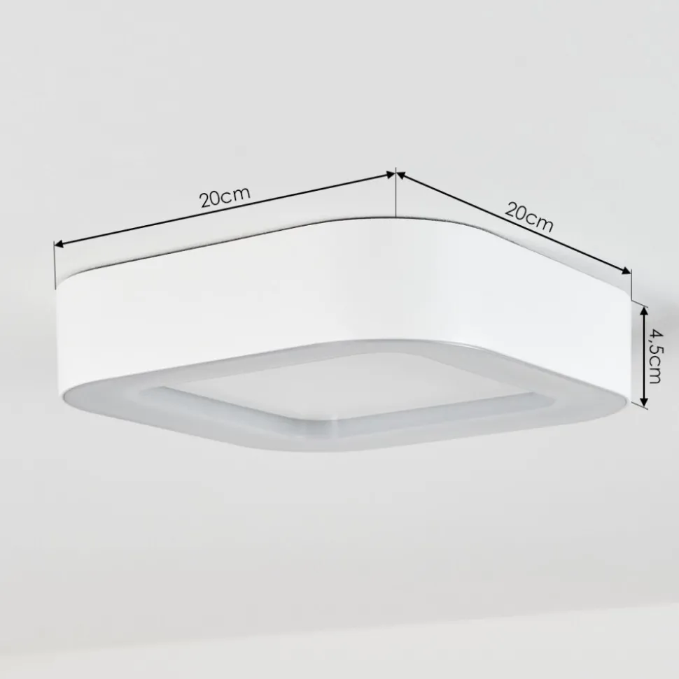 Plafonnier Exterieurpaleroo Led Blanc, 1 Lumiere