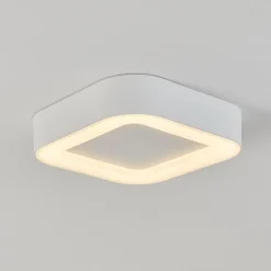 Plafonnier Exterieurpaleroo Led Blanc, 1 Lumiere