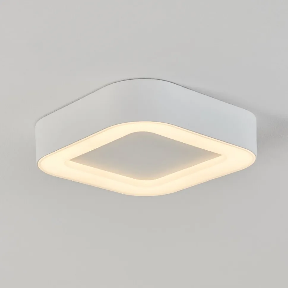 Plafonnier Exterieurpaleroo Led Blanc, 1 Lumiere