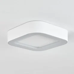 Plafonnier Exterieurpaleroo Led Blanc, 1 Lumiere
