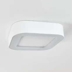 Plafonnier Exterieurpaleroo Led Blanc, 1 Lumiere