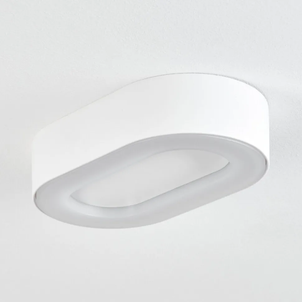 Plafonnier Exterieurpaleroo Led Blanc, 1 Lumiere