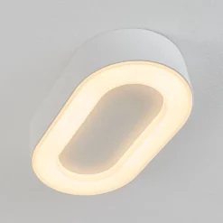Plafonnier Exterieurpaleroo Led Blanc, 1 Lumiere