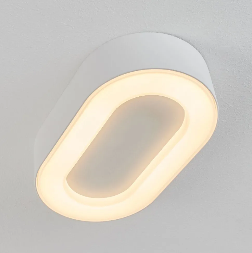 Plafonnier Exterieurpaleroo Led Blanc, 1 Lumiere