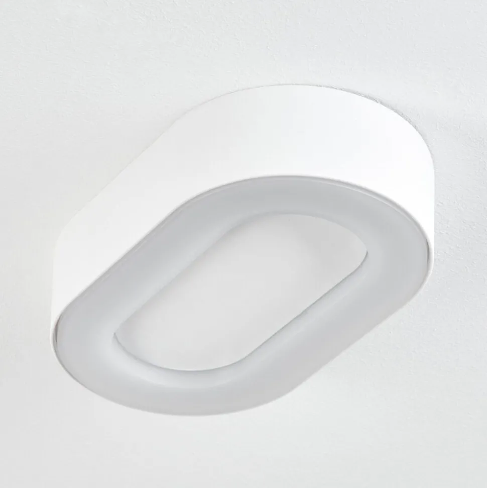 Plafonnier Exterieurpaleroo Led Blanc, 1 Lumiere