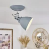 Plafonnier Koppom Chrome, Gris, 1 Lumiere