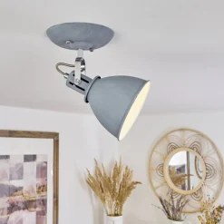 Plafonnier Koppom Chrome, Gris, 1 Lumiere