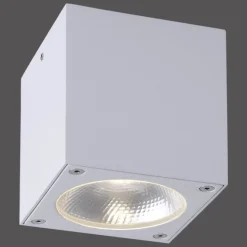 Plafonnier Paul Neuhaus Georg Led Blanc, 1 Lumiere