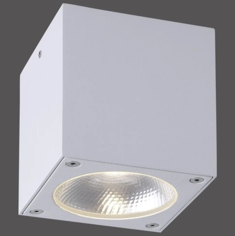Plafonnier Paul Neuhaus Georg Led Blanc, 1 Lumiere