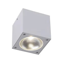 Plafonnier Paul Neuhaus Georg Led Blanc, 1 Lumiere