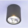 Plafonnier Paul Neuhaus Georg Led Anthracite, 1 Lumiere