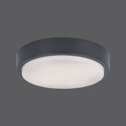Plafonnier Paul Neuhaus Q-Lenny Led Anthracite, 1 Lumiere, Telecommandes, Changeur De Couleurs