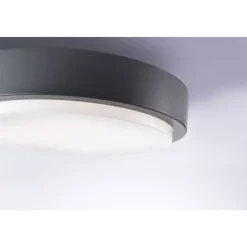 Plafonnier Paul Neuhaus Q-Lenny Led Anthracite, 1 Lumiere, Telecommandes, Changeur De Couleurs