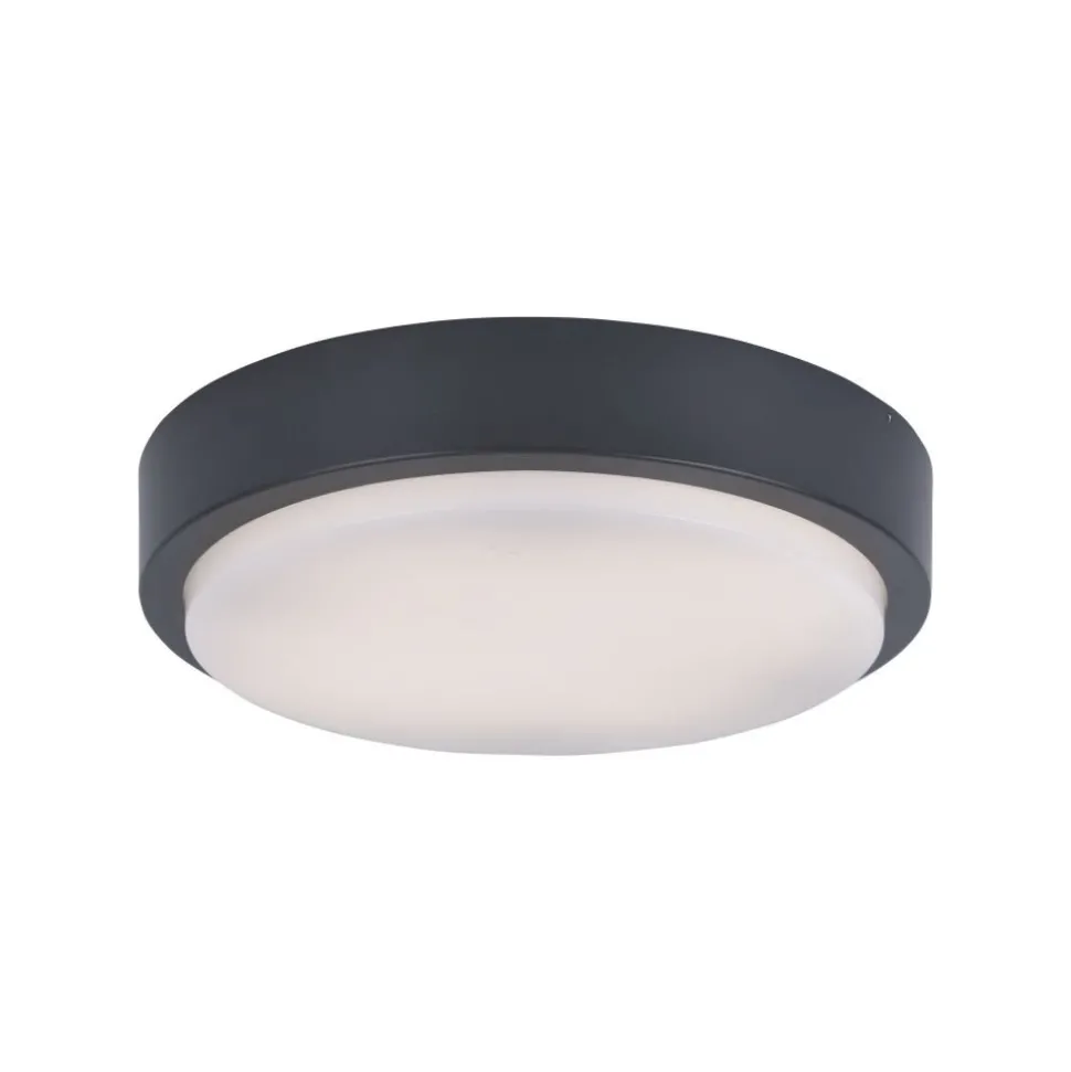 Plafonnier Paul Neuhaus Q-Lenny Led Anthracite, 1 Lumiere, Telecommandes, Changeur De Couleurs