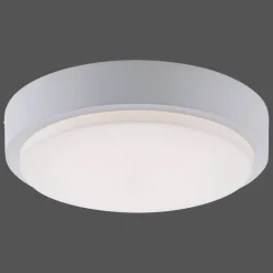 Plafonnier Paul Neuhaus Q-Lenny Led Blanc, 1 Lumiere, Telecommandes, Changeur De Couleurs