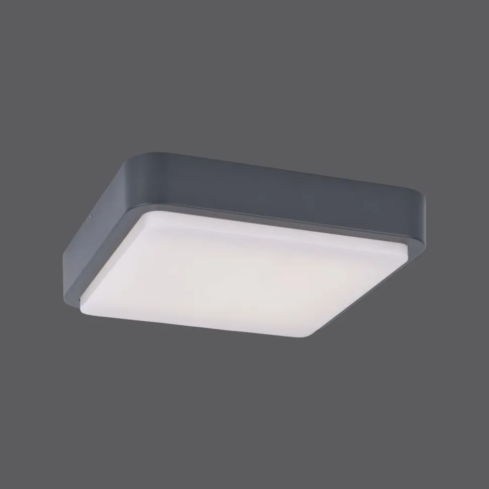 Plafonnier Paul Neuhaus Q-Lenny Led Anthracite, 1 Lumiere, Telecommandes, Changeur De Couleurs