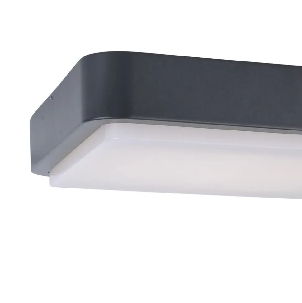 Plafonnier Paul Neuhaus Q-Lenny Led Anthracite, 1 Lumiere, Telecommandes, Changeur De Couleurs