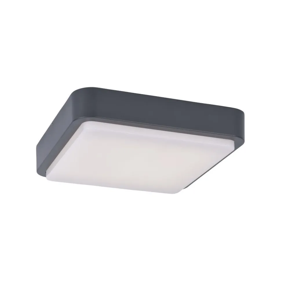 Plafonnier Paul Neuhaus Q-Lenny Led Anthracite, 1 Lumiere, Telecommandes, Changeur De Couleurs