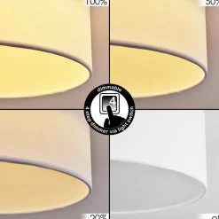 Plafonnier Purus Led Blanc, 1 Lumiere