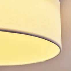 Plafonnier Purus Led Blanc, 1 Lumiere
