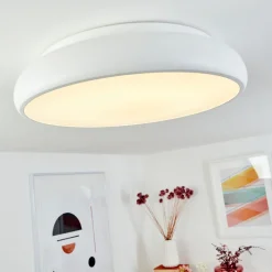 Plafonnier Rhone Led Blanc, 1 Lumiere, Changeur De Couleurs