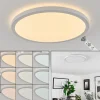 Plafonnier Sasinhosa Led Blanc, 1 Lumiere, Telecommandes