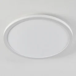Plafonnier Sasinhosa Led Blanc, 1 Lumiere, Telecommandes