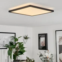 Plafonnier Sasinhosa Led Noir, 1 Lumiere, Telecommandes