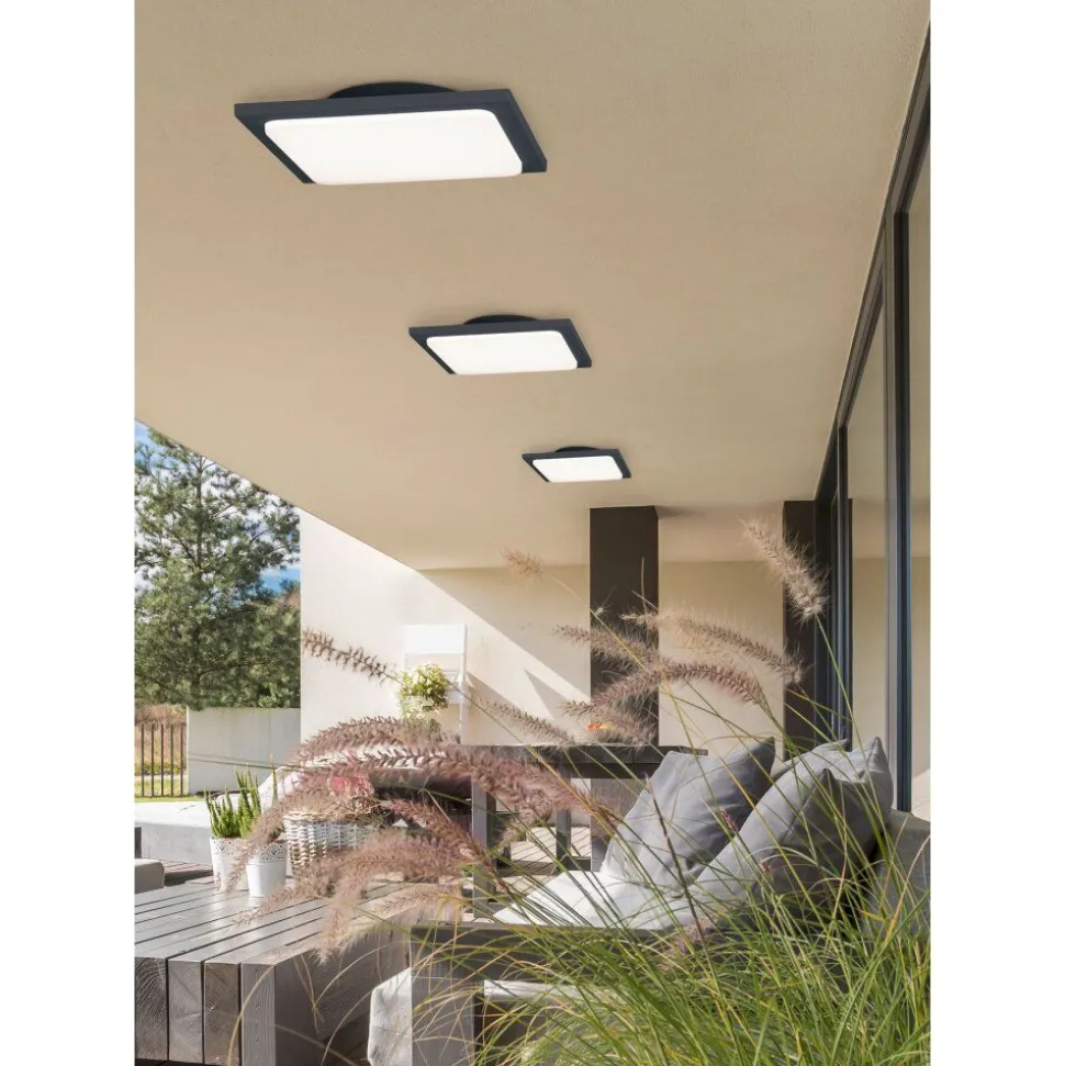 Plafonnier Trio Trave Led Anthracite, 1 Lumiere