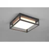 Plafonnier Trio Witham Led Anthracite, 1 Lumiere