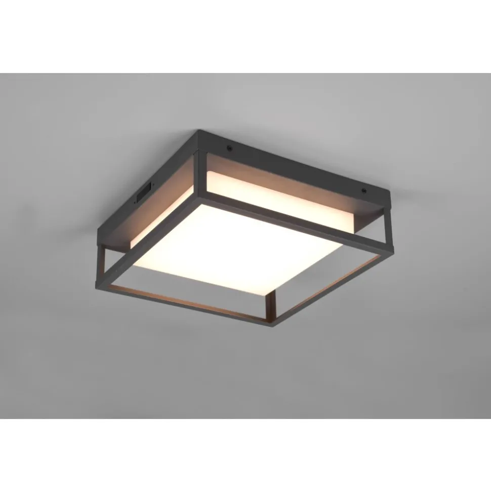 Plafonnier Trio Witham Led Anthracite, 1 Lumiere