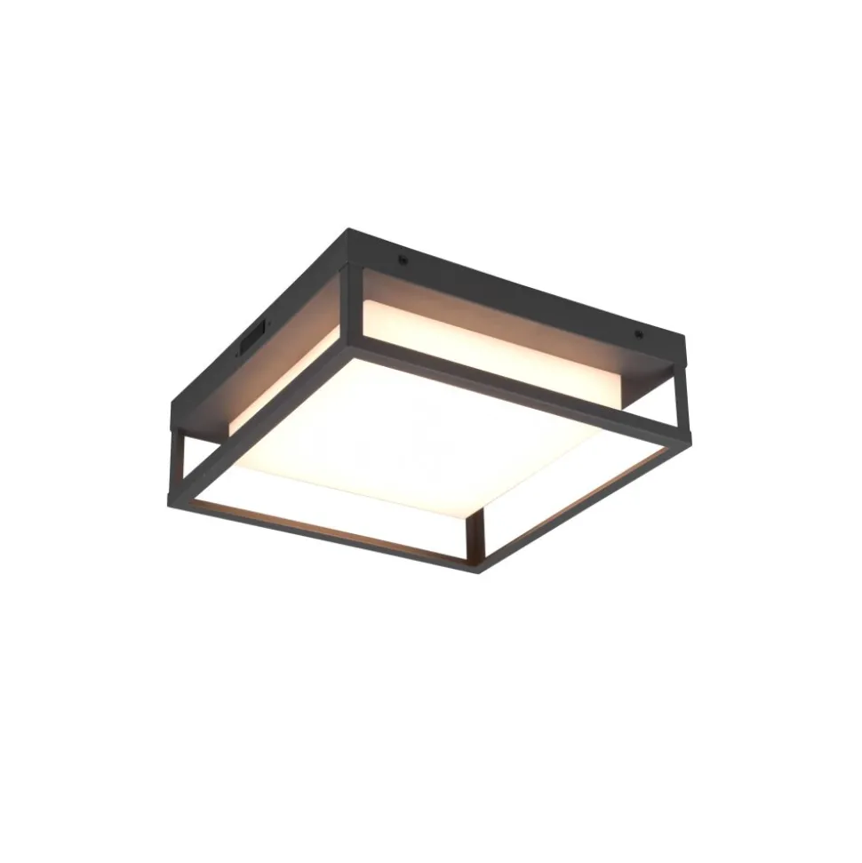 Plafonnier Trio Witham Led Anthracite, 1 Lumiere