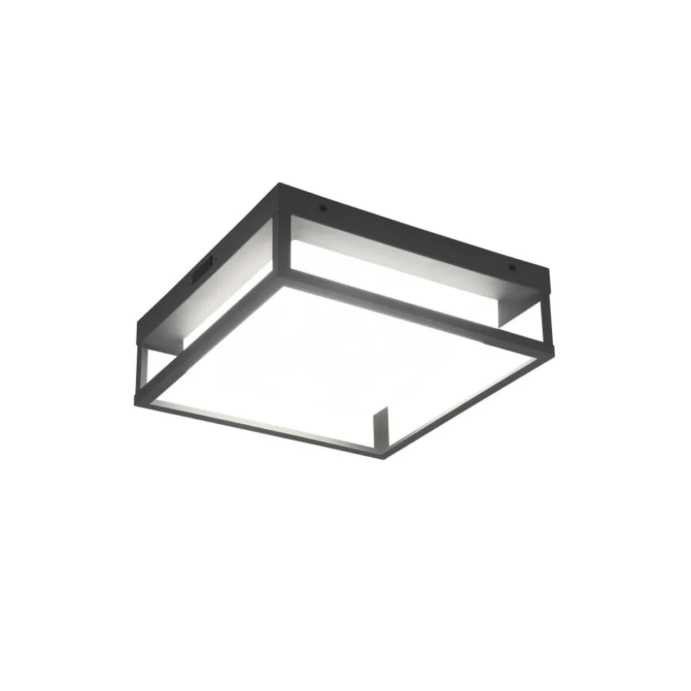 Plafonnier Trio Witham Led Anthracite, 1 Lumiere