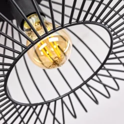 Plafonnier Wemude Noir, 1 Lumiere