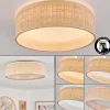 Plafonnier Wynona Led Blanc, 1 Lumiere