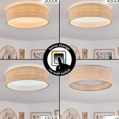 Plafonnier Wynona Led Blanc, 1 Lumiere