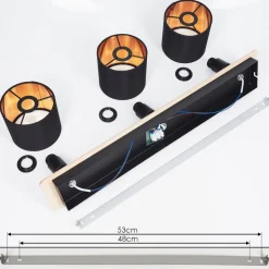 Plafonnieralsen Bois Clair, Noir, 3 Lumieres