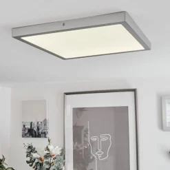 Plafonnierfinsrud Led Argente, 1 Lumiere