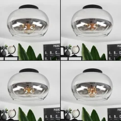 Plafonniermolloy Clair, Fume, 1 Lumiere
