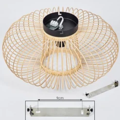 Plafonnieroravi Ecru, 1 Lumiere