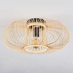 Plafonnieroravi Ecru, 1 Lumiere