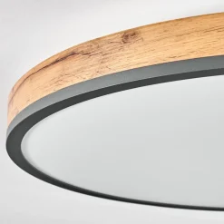 Plafonniersalmi Led Anthracite, Brun, Couleur Bois, Noir, 1 Lumiere, Telecommandes