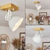 Plafonniersvanfolk Ecru, Blanc, 1 Lumiere